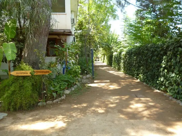 Чиралы: Olympos Oase Hotel