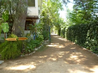 Чиралы: Olympos Oase Hotel