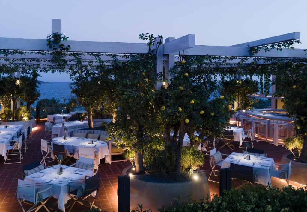 Тургутрейс: Отель Swissotel Resort Bodrum Beach
