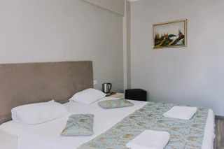 Бююкада: Hotel Prinkipos