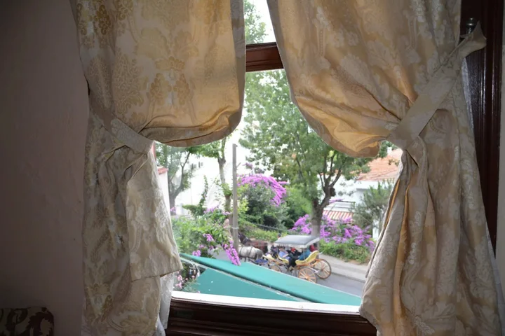 Бююкада: Büyükada Anastasia Meziki History Mansion