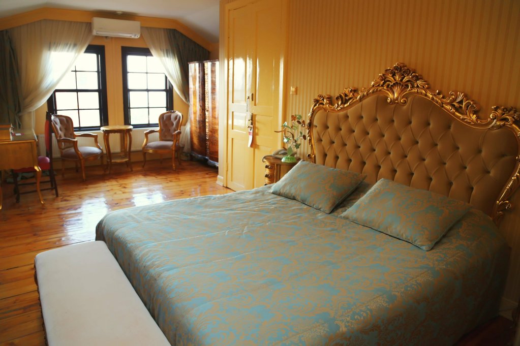Бююкада: Büyükada Anastasia Meziki History Mansion