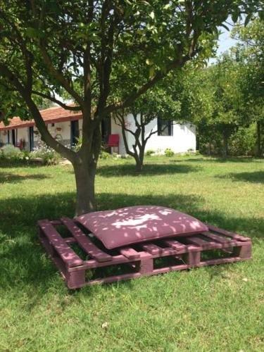 Чиралы: Cirali Friends Pension&Camping