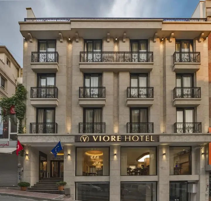 Стамбул: Viore Hotel