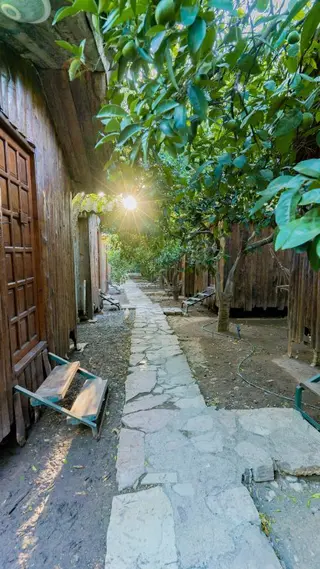 Кумлуджа: Отель Turkmen Tree Houses Hotel