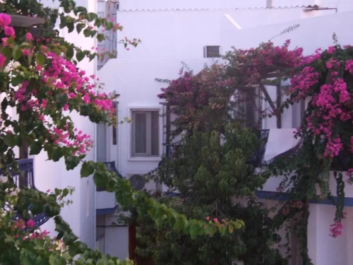 Бодрум: Serhan Hotel