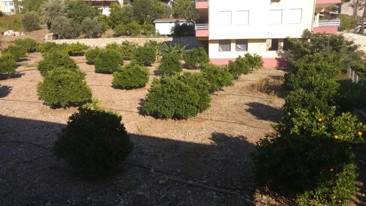 Кумлуджа: Karaoz Pansiyon