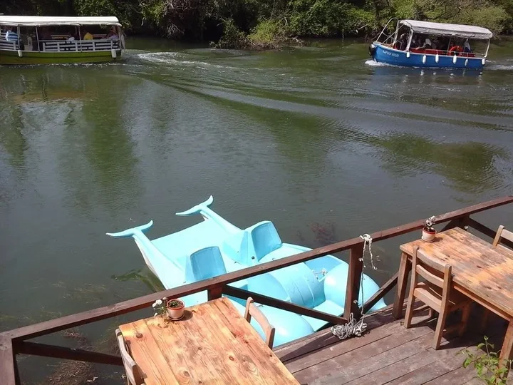 Сайл: Vira Creek House