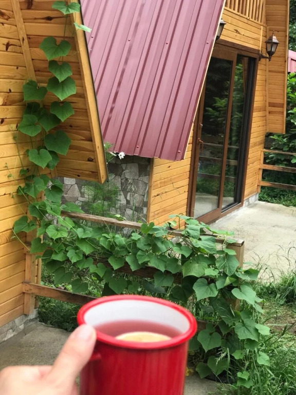 Чамлыхемшин: Foga Bungalow