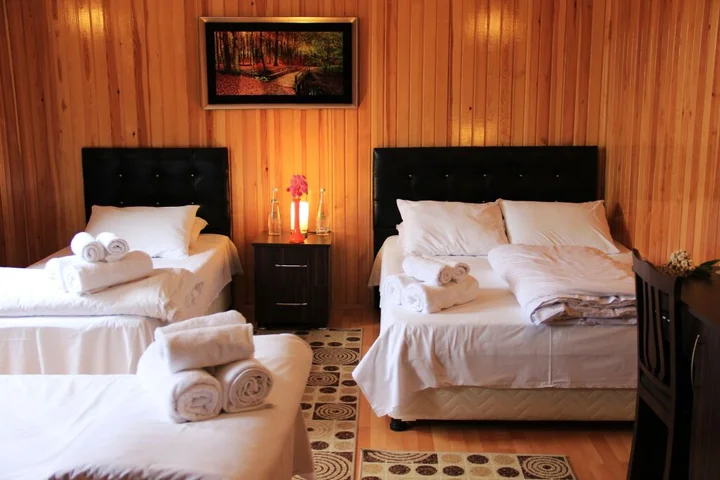 Чамлыхемшин: Ayder Villa de Pelit Hotel