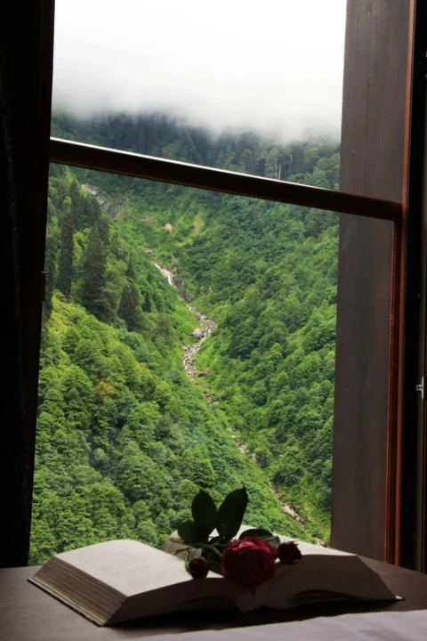 Чамлыхемшин: Ayder Villa de Pelit Hotel