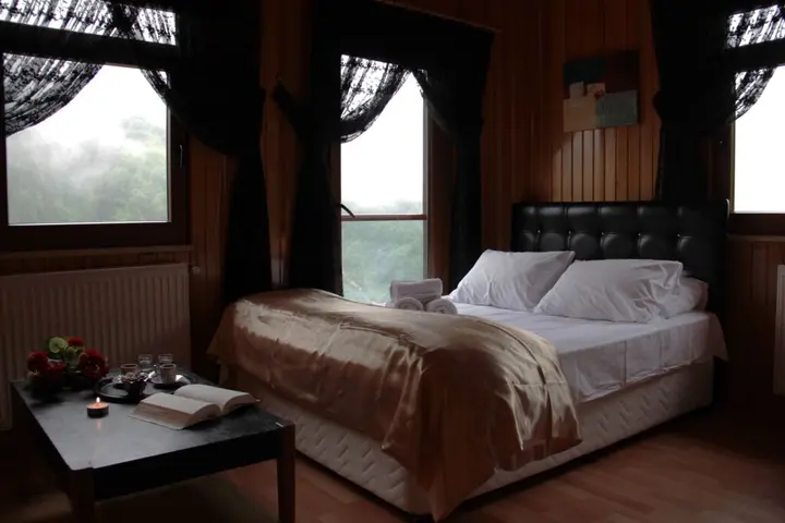 Чамлыхемшин: Ayder Villa de Pelit Hotel