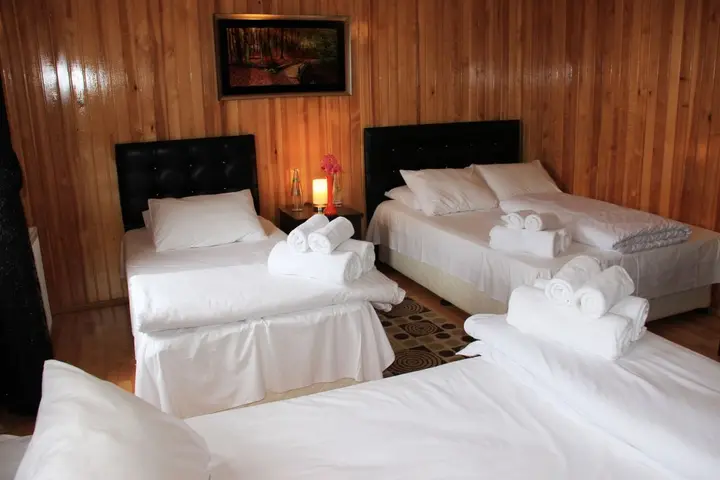 Чамлыхемшин: Ayder Villa de Pelit Hotel