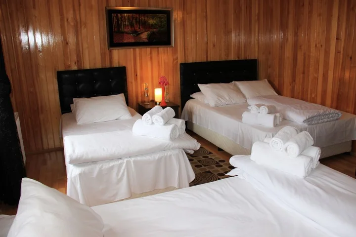 Чамлыхемшин: Ayder Villa de Pelit Hotel