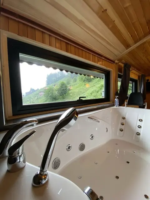 Чамлыхемшин: Ayder Villa de Pelit Hotel