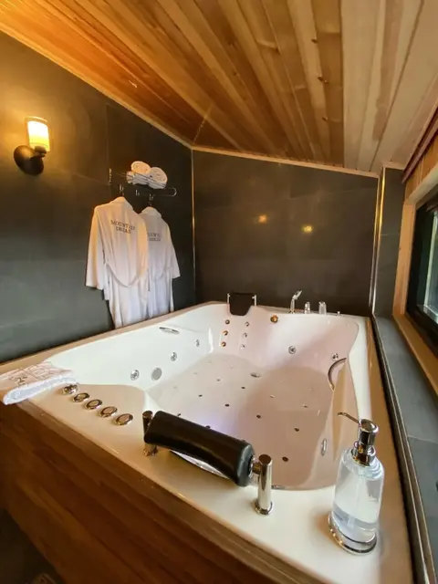 Чамлыхемшин: Ayder Villa de Pelit Hotel