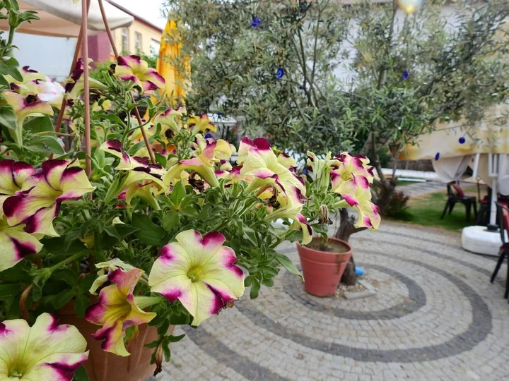 Айвалык: Eden Selene Hotel