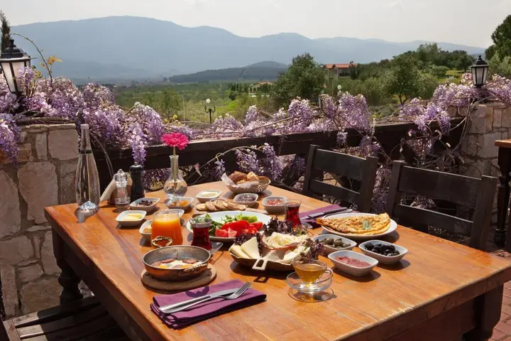 Киразли: Vinifera Vineyards Hotel