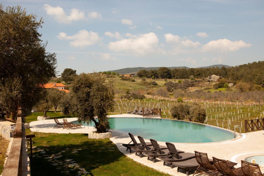 Киразли: Vinifera Vineyards Hotel