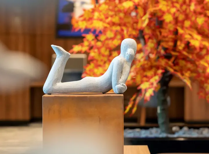 Сакарья: Radisson Blu Hotel, Sakarya