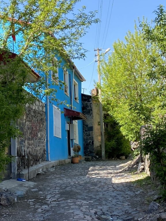 Карс: Mavi Ladin Konukevi