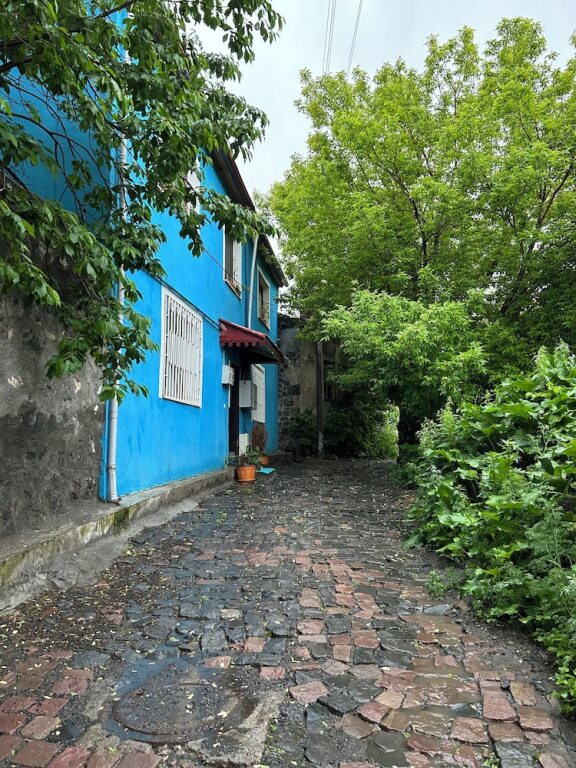 Карс: Mavi Ladin Konukevi