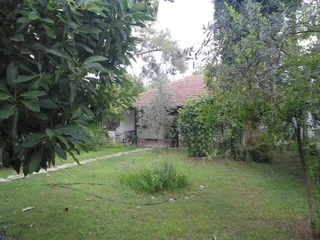 Чиралы: Villa Halil Bungalow