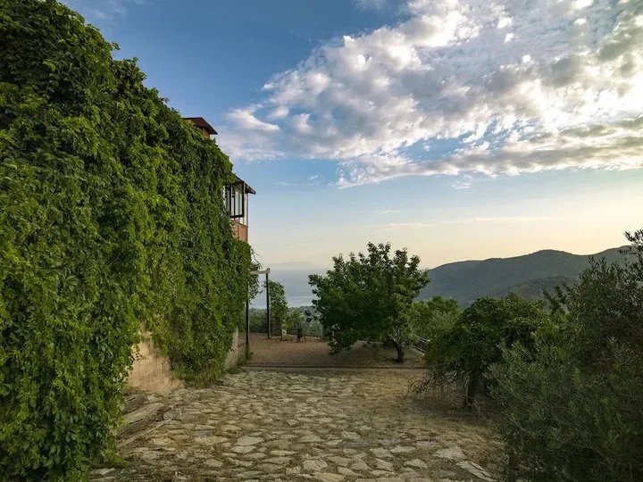 Датча: Villa Vino