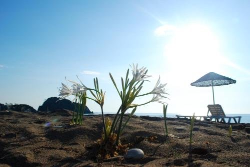 Чиралы: Ugur Pansiyon Bungalows