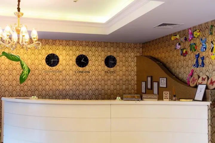 Дюздже: Otel Düzce Sürur & SPA