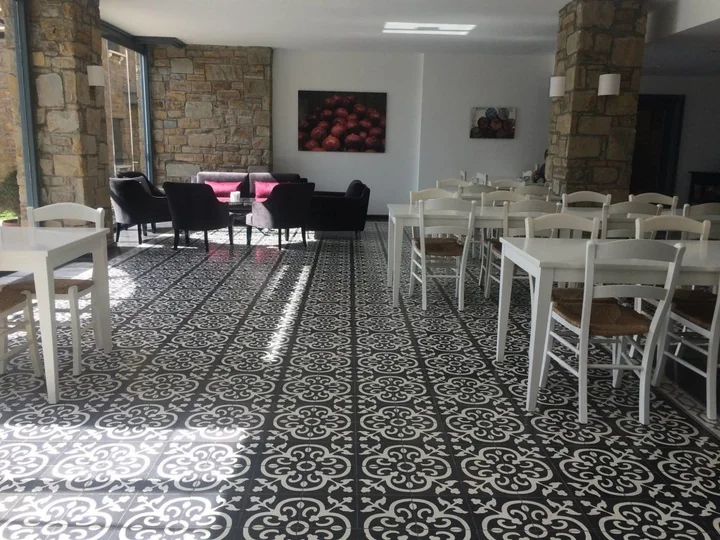 Зейтинликой: Anemos Hotel
