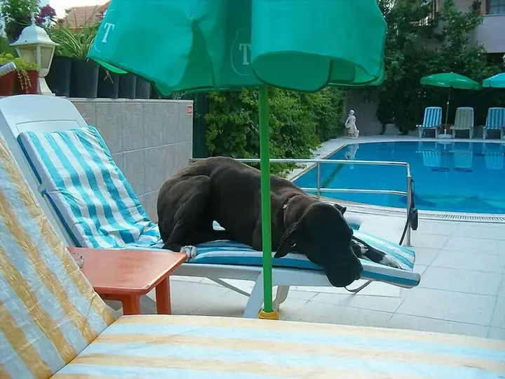 Дальян: Mandalinn Hotel