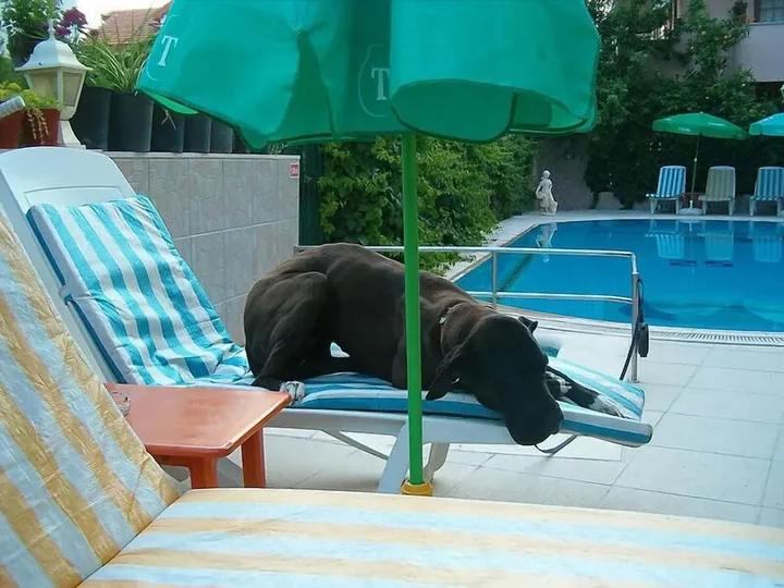 Дальян: Mandalinn Hotel