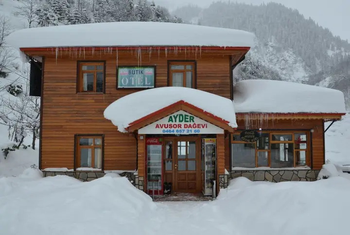 Чамлыхемшин: Ayder Avusor Butik Otel