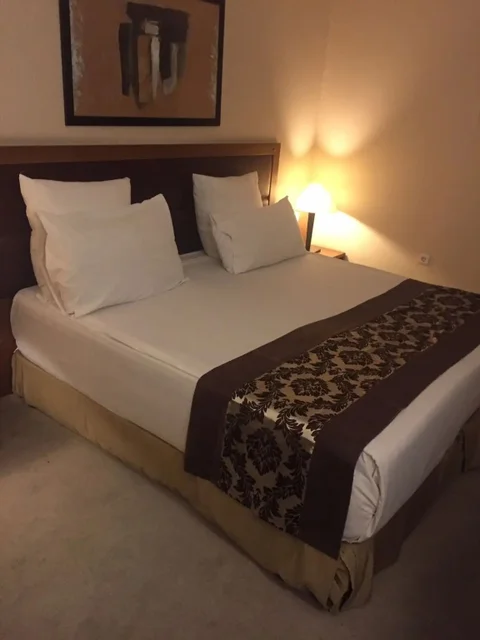Кайсери: City One Hotel & SPA