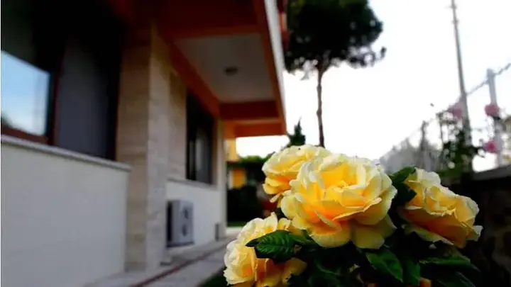 Helvaci: Villa Fokai Hotel
