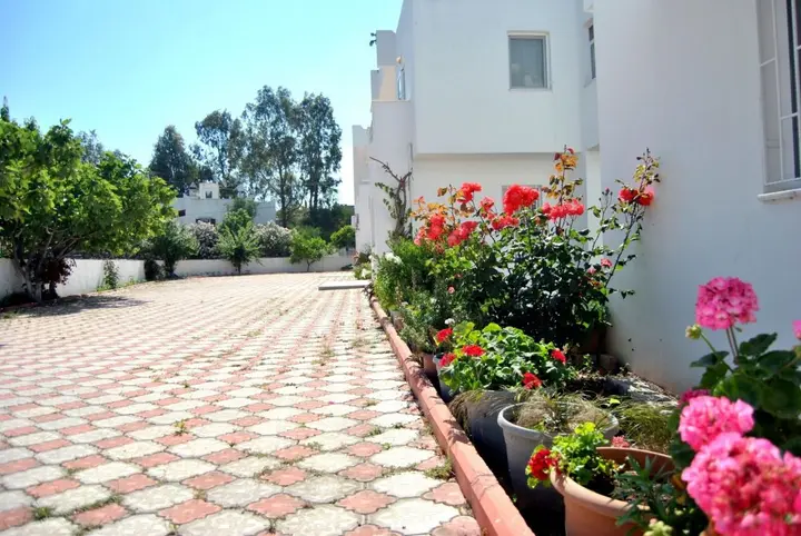Голькой: Nazli Hotel