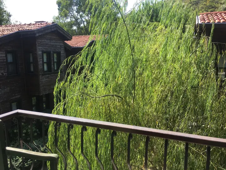 Сайл: Agva Piccolo Mondo Hotel - Adults Only