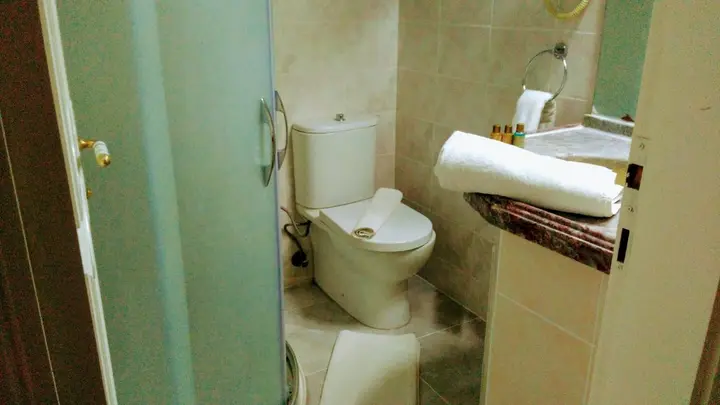 Дидим: Meryemana Hotel