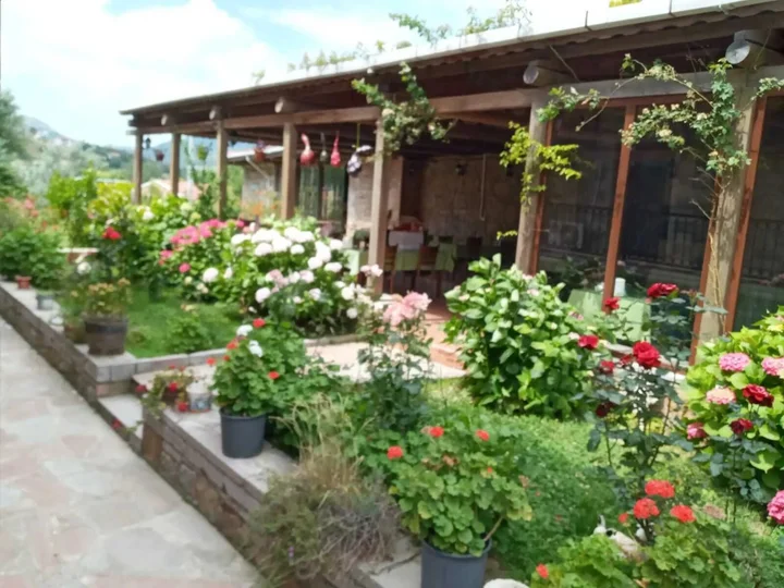 Зейтинликой: Kayabali Hotel