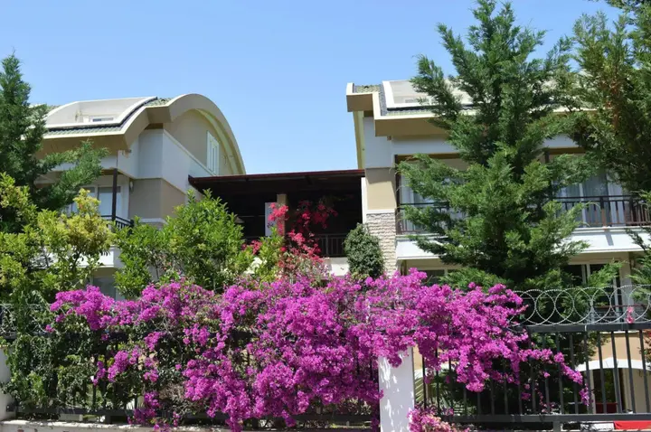 Кемер: Sultan Homes Apartments