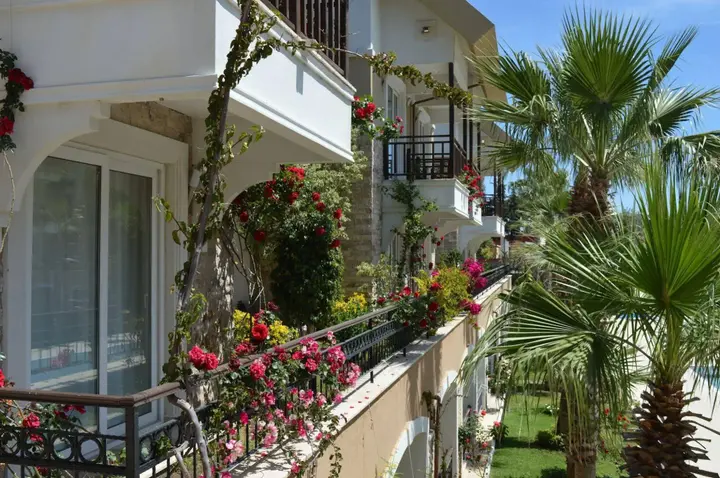 Кемер: Sultan Homes Apartments