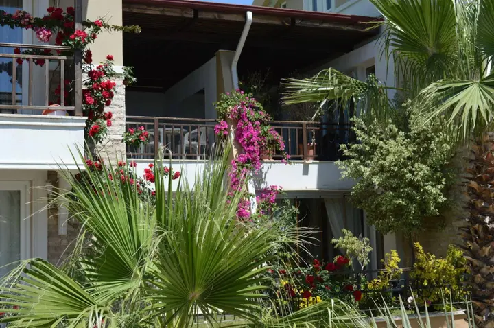 Кемер: Sultan Homes Apartments