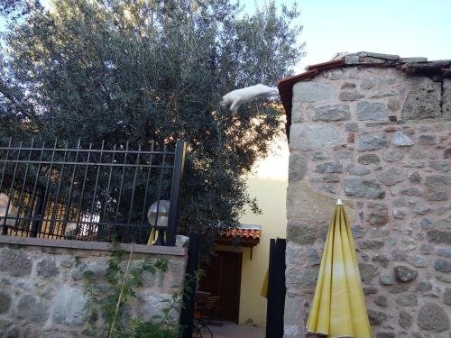 Дикили: Aristonicus Boutique Hotel