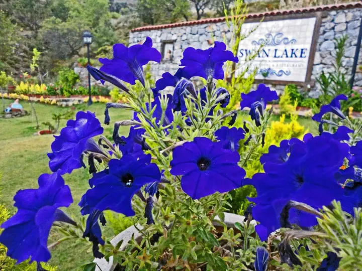 Селимийе: Swan Lake Boutique Hotel - Adults Only