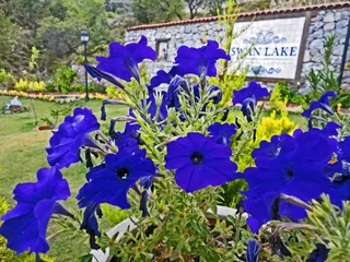 Селимийе: Swan Lake Boutique Hotel - Adults Only