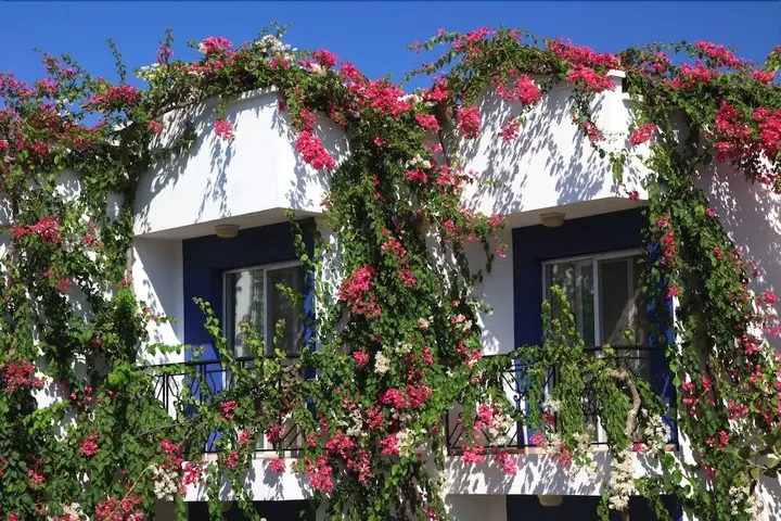Гюндоган: Catamaran Hotel