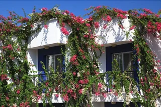 Гюндоган: Catamaran Hotel