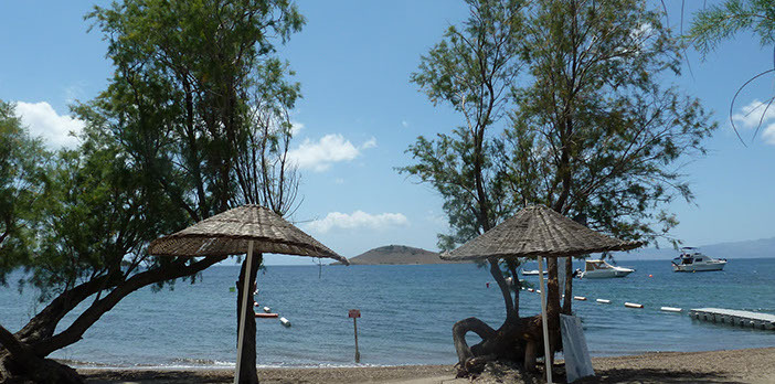 Бодрум: Tamarisk Beach Hotel