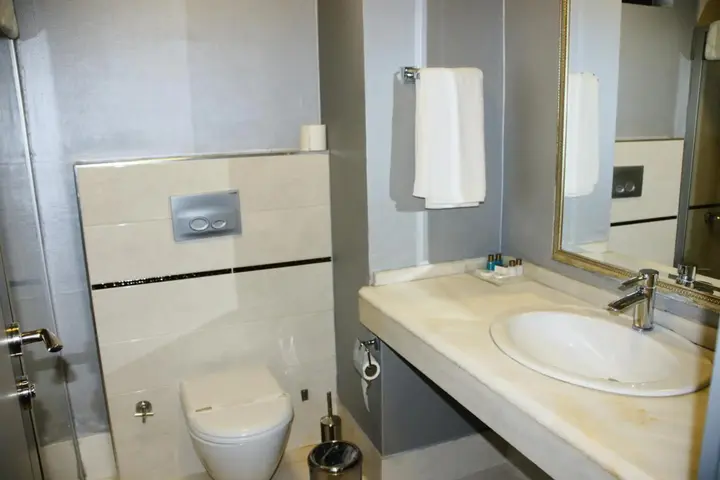 Анкара: Alfin Hotel Ankara